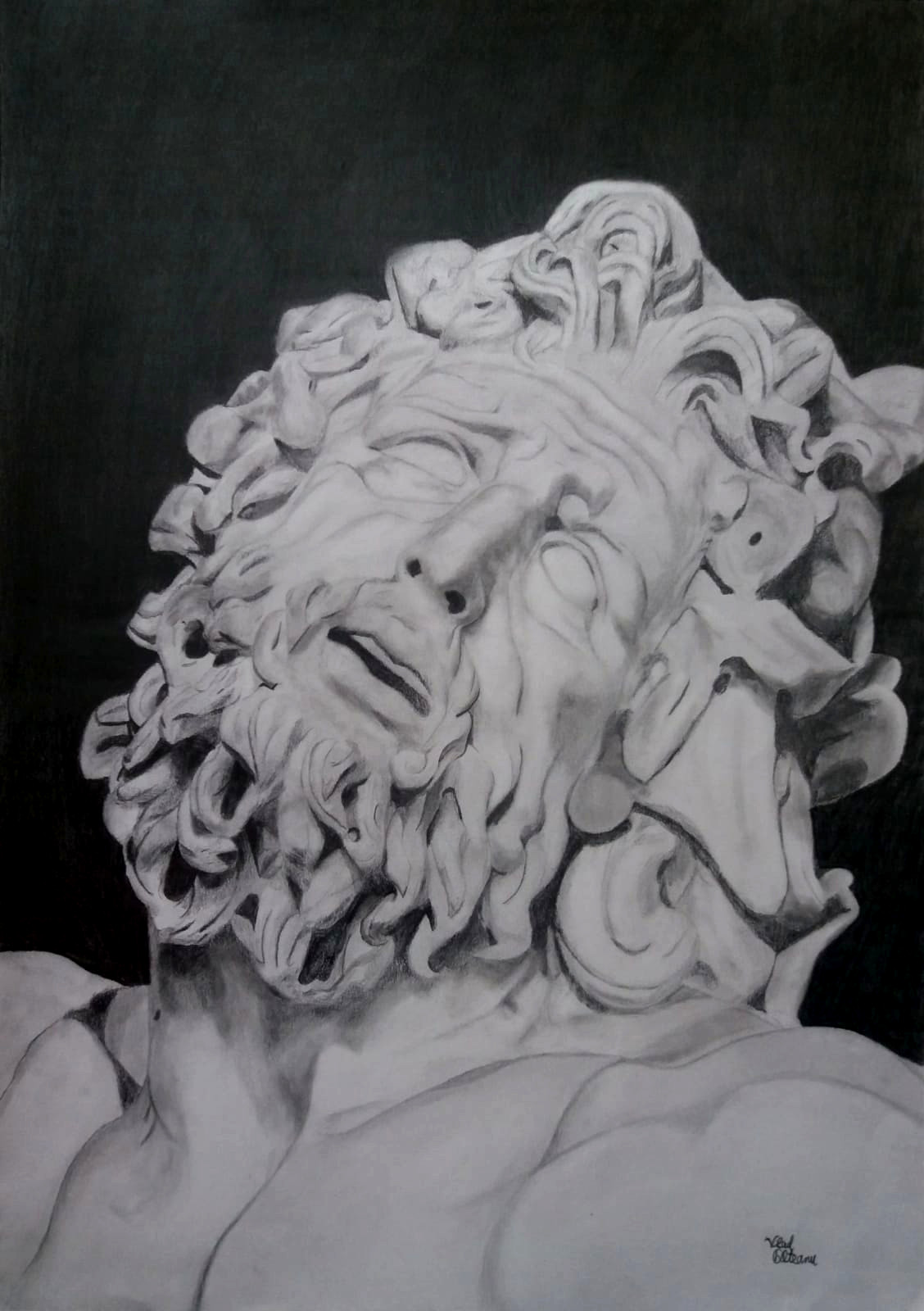 /artwork/drawings/laocoon_001.jpg